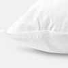 Helix Down & Feather Pillow