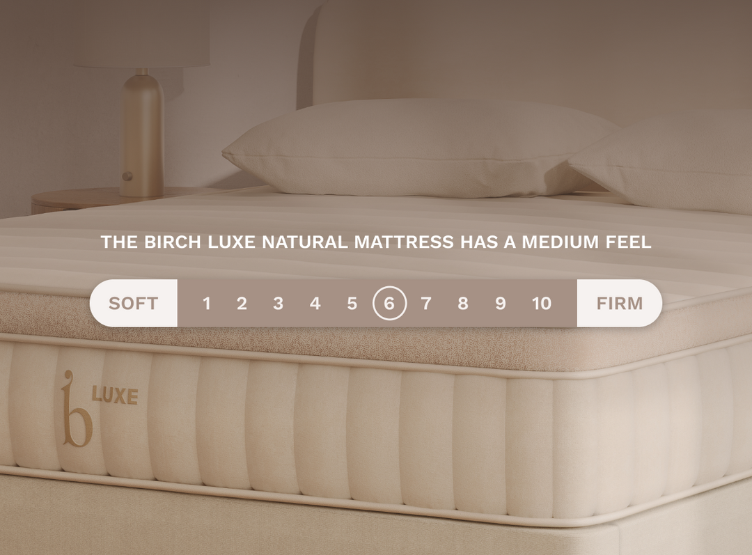 A firmness scale image showing the Birch Luxe Natural Mattress is a medium feel