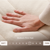 A firmness scale image showing the Birch Natural Mattress is a medium-firm feel