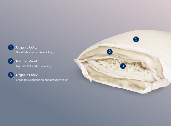 A rendered image showing each layer the Organic Pillow