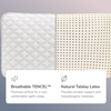 A rendered image of the Talalay latex pillow with callouts to its tencel cover and talalay latex core