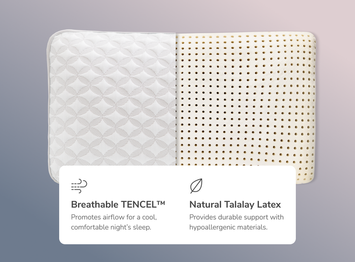 A rendered image of the Talalay latex pillow with callouts to its tencel cover and talalay latex core