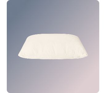 The Birch Organic Pillow on a blue gradient background